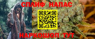 mdpv Краснознаменск