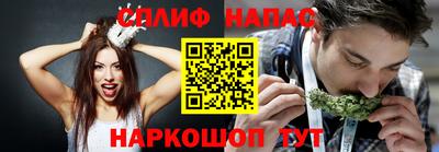 эйфоретик Краснодар