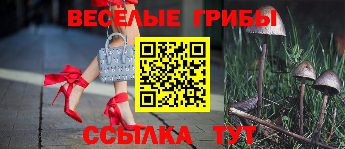 Псилоцибиновые грибы ЛСД  Галлюциногенные грибы ЛСД  Вход с VPN  Гусев 